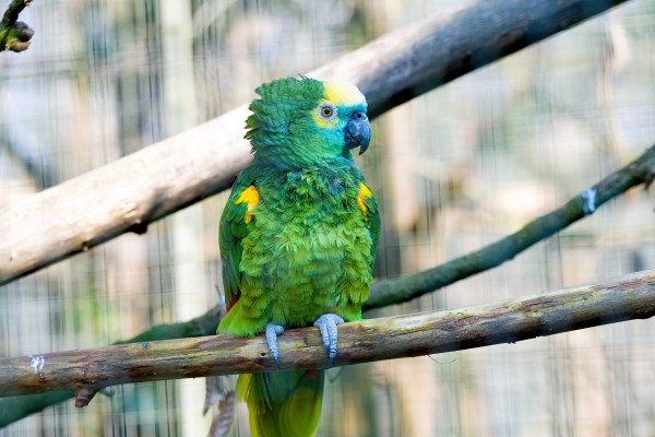 Tierpark Bild 6